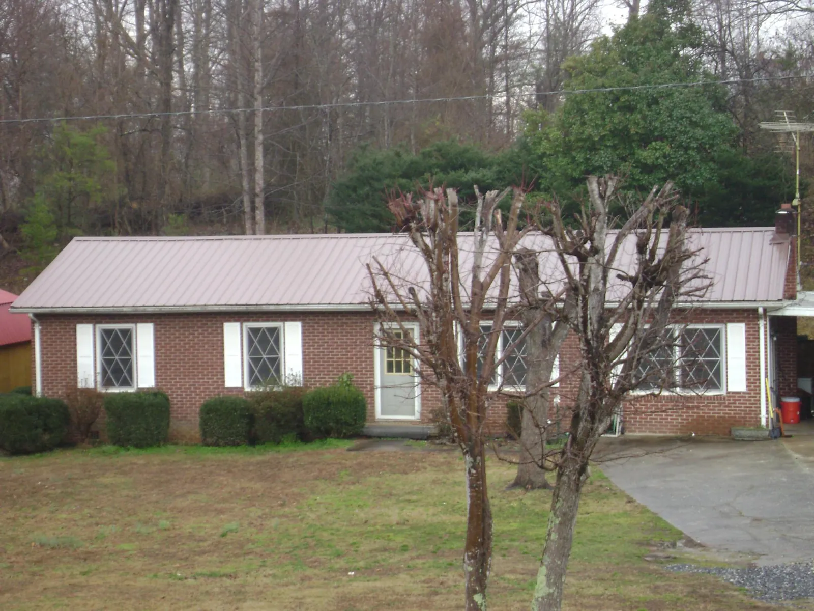 Mauve metal roof on a brick ranch home behind bare trees in Rangely